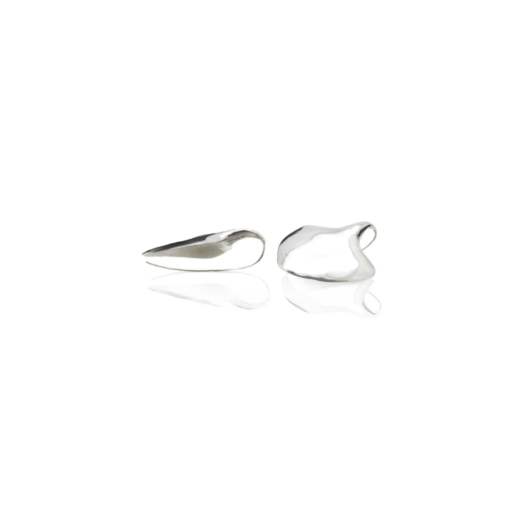 Pair of silver earrings on a white background