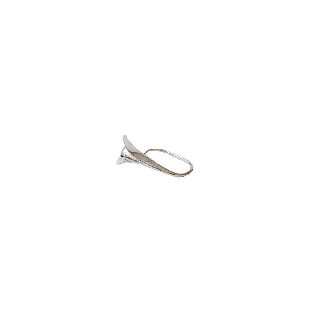 Silver earring on a white background