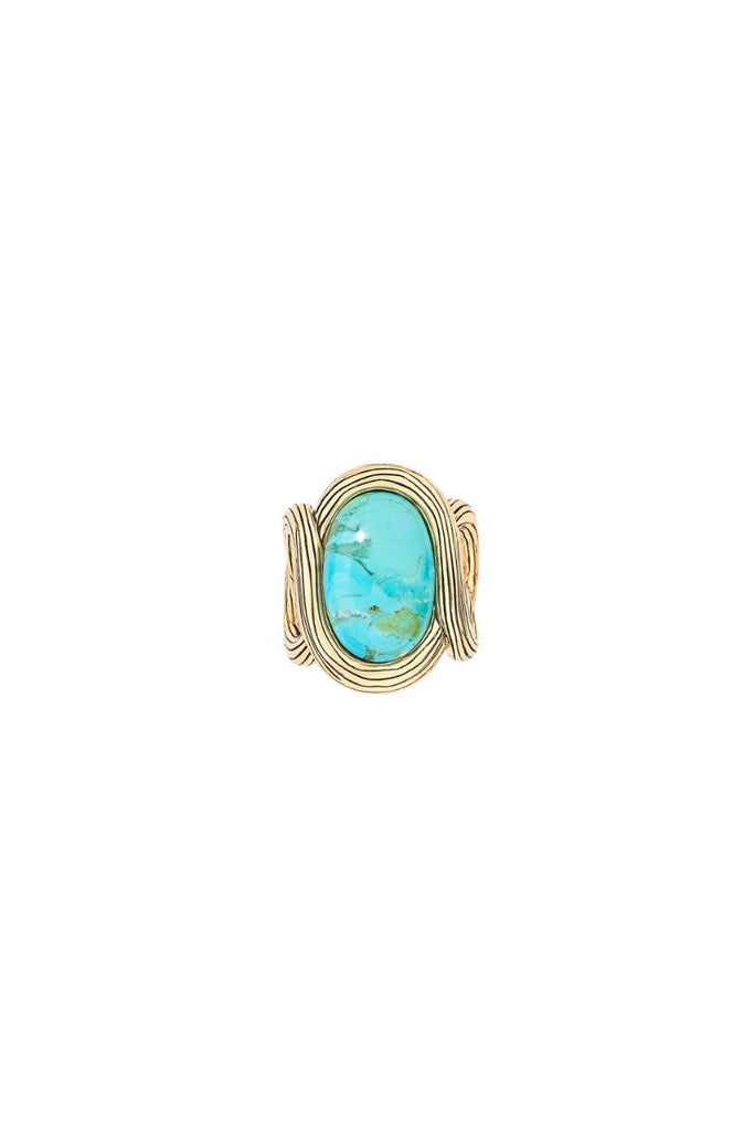 ALDABRA_RING_RING_Gold_AURELIE_BIDERMANN_Shopify_1