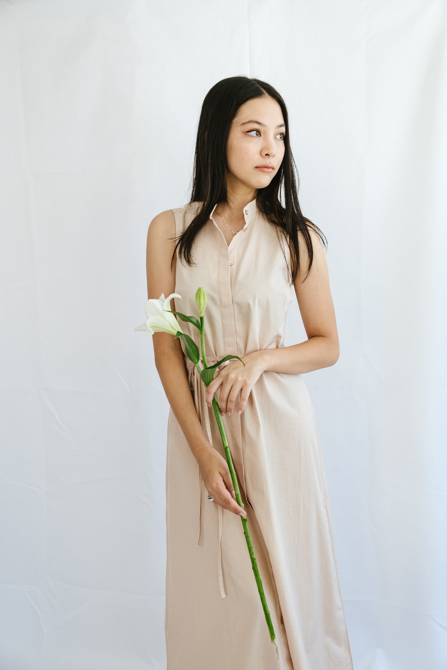 Sleeveless Shirt Dress Rose Dust